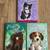 Brand New 3 Chapter Books for Someone who loves Cats, Dogs and Ponies 1 thumbnail