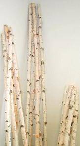 Birch Log Pole 3-foot x 2-inch diameter 1