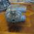 Sherwood Brass Water Sea Pump Marine Boat Craft Hit Miss Steampunk Ant 5 thumbnail