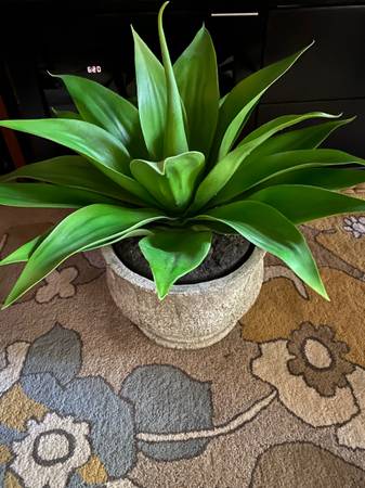 Large Fake Succulent in Heavy Ceramic Pot 1