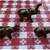 Tiny Brass Elephants 2 thumbnail