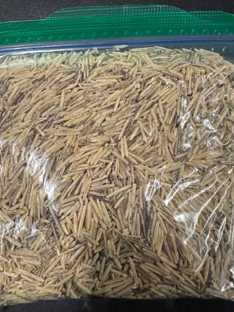 Naturally Harvested Wild Rice 1