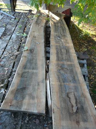 TWO LARGE MAPLE SLABS 2"x 13'x 19"