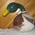 7 Large Gourds For Painting and Crafts 18 thumbnail