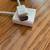 Apple Thunderbolt to DVI Adapter 3 thumbnail