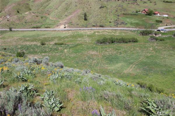 $255,000 Nahahum Canyon two 10 acre lots, shared well and driveway. (CASHMERE)63743441287939124