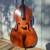 Vintage Upright Bass-----Made in USA 1 thumbnail