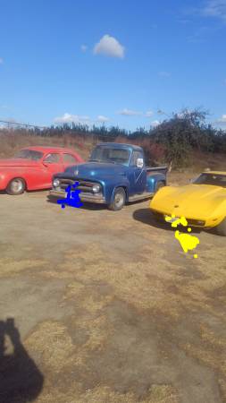 73 corvette, 1955 f100, 1947 Packard 53 jaguar 1