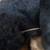 Betsy Mccall's Puppy Black Dachshund Stuffed Dog Nosy Knickerbocker 3 thumbnail
