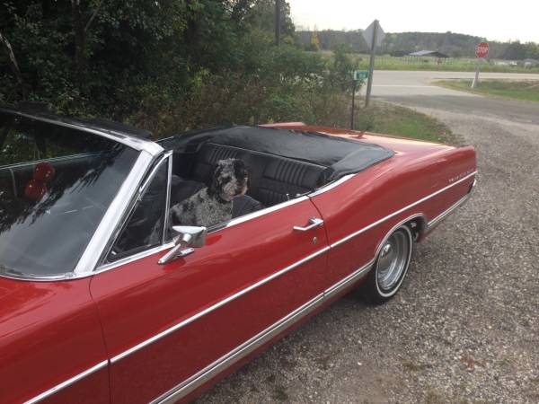 Galaxy500 Convertible - $25,000 (Kewaskum)63618696524163124