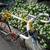LeCroco 53cm Reynolds 753, 16-speed road bike, 1991 2 thumbnail