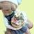 Lladro Figurine, "Spring is Here" 6 thumbnail