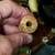 Antique SEWING wicker storage BASKET Heart Shaped Wood Thread Vintage 4 thumbnail