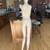 Adult Female - Full Body Mannequin 14 thumbnail