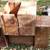 Mobile Oil Gargoyle Box Crates, 2-B, BB, A, E 11 thumbnail