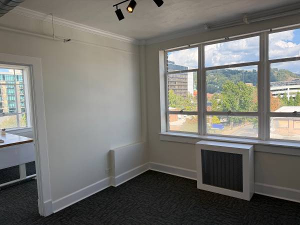 $1,000 Bright, Sunny Downtown Office Space (Downtown)64029208855683121