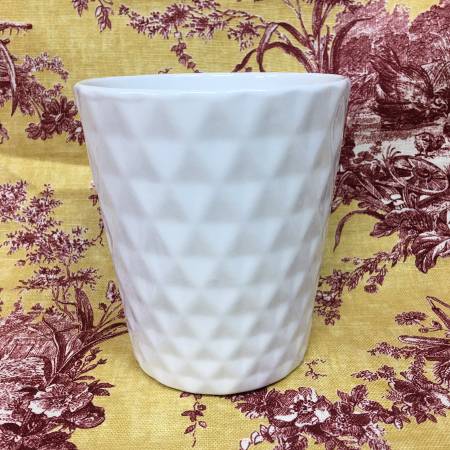 Ceramic Orchid 5" Pot White 1