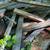 Free wood pile 2 thumbnail
