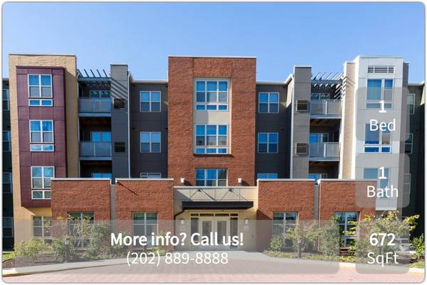 $1,562 / 1br - 672ft2 - The bus line’s nearby at The Roundtree Residences! Great for commuters (Washington - Southeast)64040361910147121