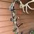 PSE bow madness 1 thumbnail