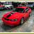 2003 Ford Mach 1 - 4.6 - 5 Speed - 60K Miles 1 thumbnail