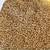 Barley Grain Feed 2 thumbnail