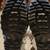Timberland heavy-duty Winter boots. 3 thumbnail