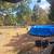 Home for sale with 5 acres 3 thumbnail