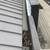 Roofing services and repairs 5 thumbnail