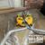 Property Wash Solutions–Washing Driveways • Gutters Windows Fences 10 thumbnail