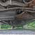 2002 Ford Econoline E250 Cargo - Extended - Raised Roof 24 thumbnail