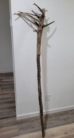 Drift wood walking staff 1