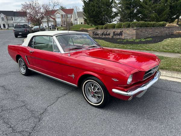 Ford Mustangs WANTED 1