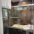 Amazing 2BD/1BA (1255 1/2 Hyperion Ave, Silver Lake, CA 90029) 13 thumbnail