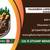 TREE &STUMP GRINDING &STUMP REMOVAL SERVICE 1 thumbnail