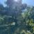Buildable Lot along Uvas Reservoir 10+ Acres FINANCING 21 thumbnail