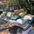 Biggest Best Backyard Multi Family Sale 10 thumbnail
