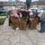 JUNK REMOVAL/TRASH PICKUP/HAULING SERVICE/TRASH HAUL/TRASH MOVING 14 thumbnail
