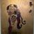 Gold Head Skull Abstract 3 thumbnail