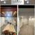 Professional Home Renovations 15 thumbnail