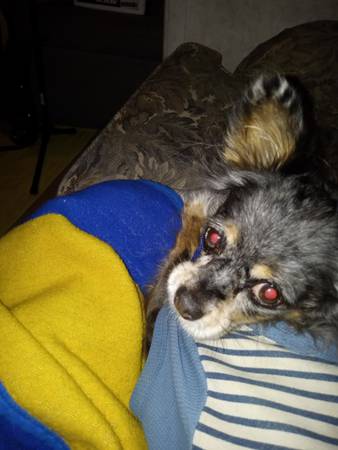 Solo busco a mi antigua amiga Megan (Lacey)