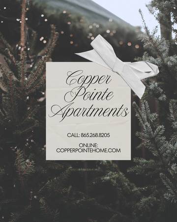 APPLY TODAY - NO ADMIN FEES 🧡🔥 1