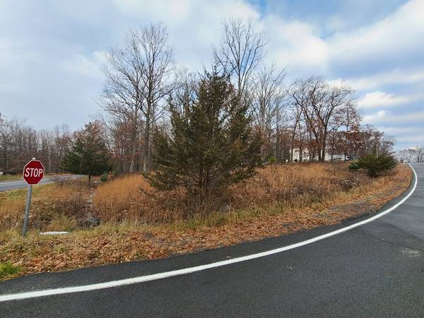 $6,500 Excellent properties in Poconos! Build your dream home here ! (Poconos, PA , Pike county, Bushkill)63502285822721121