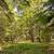 Recreational/Residential/Investment/ Cooperstown, NY Area 4 thumbnail