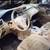 Parts for 2015 Nissan Rogue Doors Tailgate light 4 thumbnail