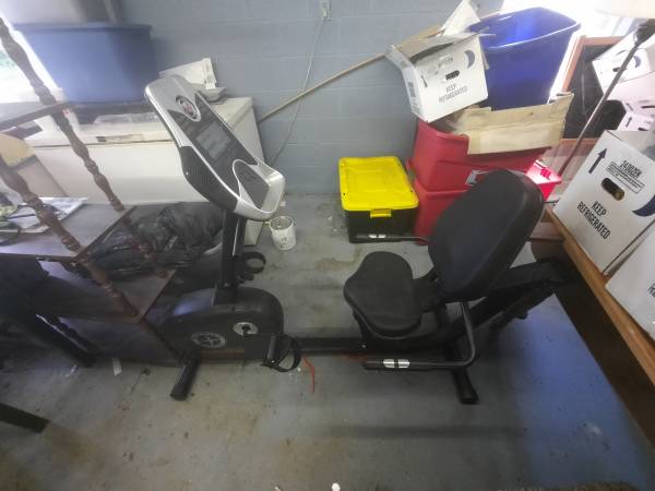 Schwinn Recumbent bike 1