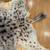 Animal fur Hyena Pelt 8 thumbnail