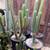 Sacred Succulents Bridgesii SS02 San Pedro cactus Bolivian torch 2 thumbnail