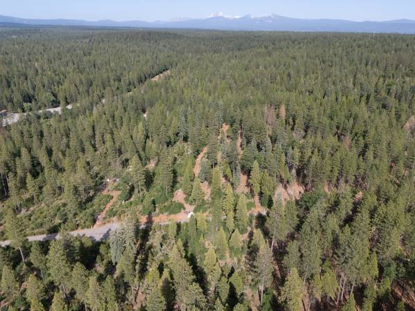 $17,900 Wooded 3 acres vacant land in Shasta County, CA with easy access (Shingletown)63972531978498123