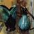 BMP Blue Mountain Pottery Vases 1 thumbnail